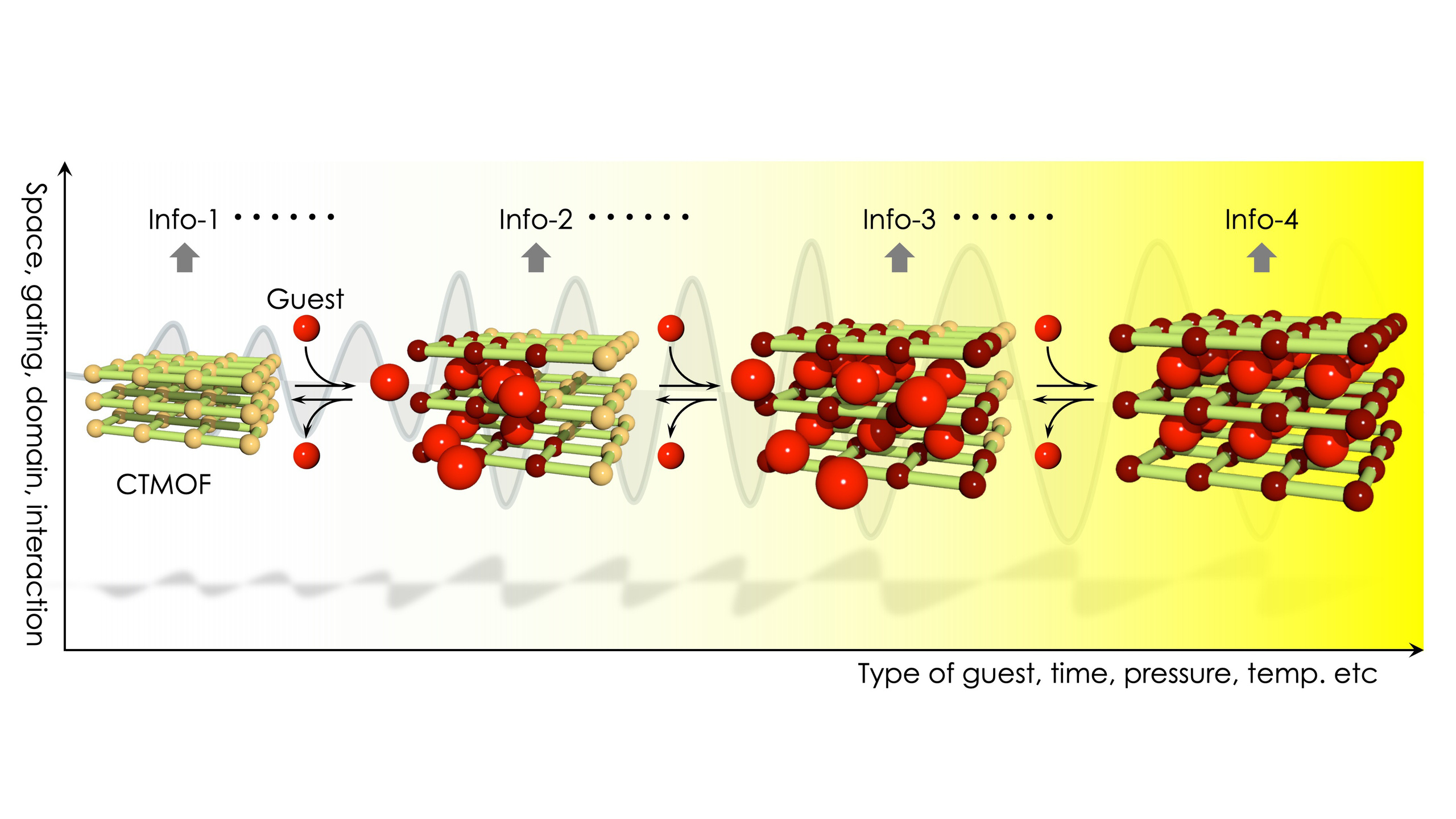 dynamic_quantum_information.jpg
