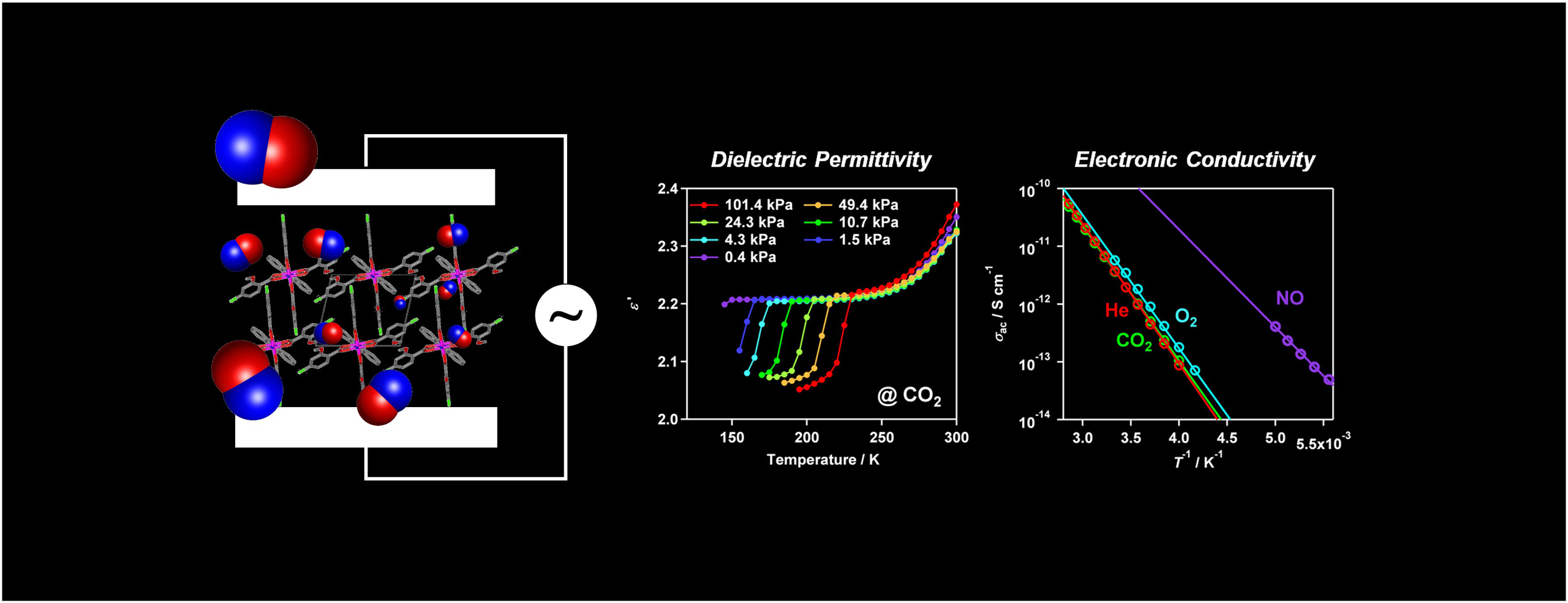 kosaka_ac-field_dielectric_r.jpg